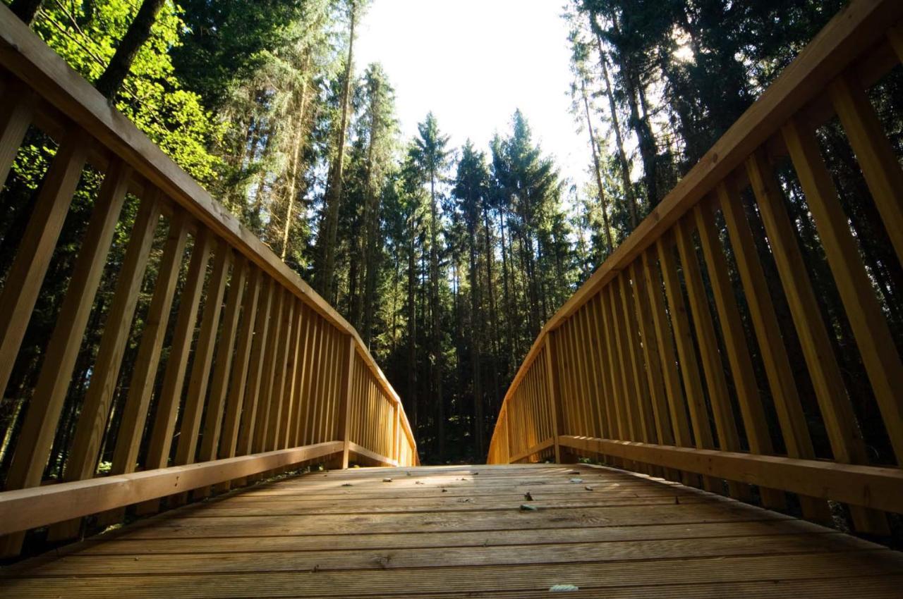 Forstgut - Premium Waldchalets Und Lodge Suiten Regen Esterno foto