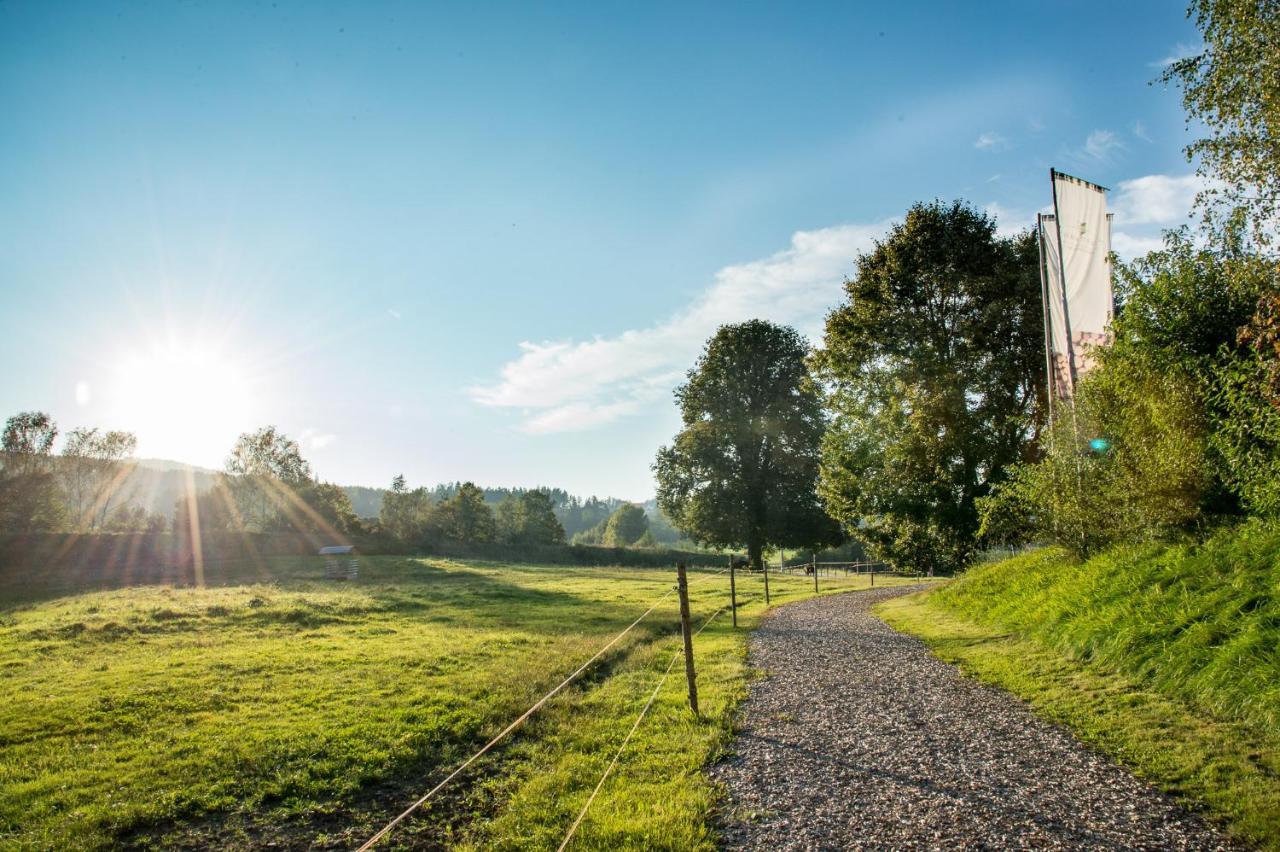 Forstgut - Premium Waldchalets Und Lodge Suiten Regen Esterno foto