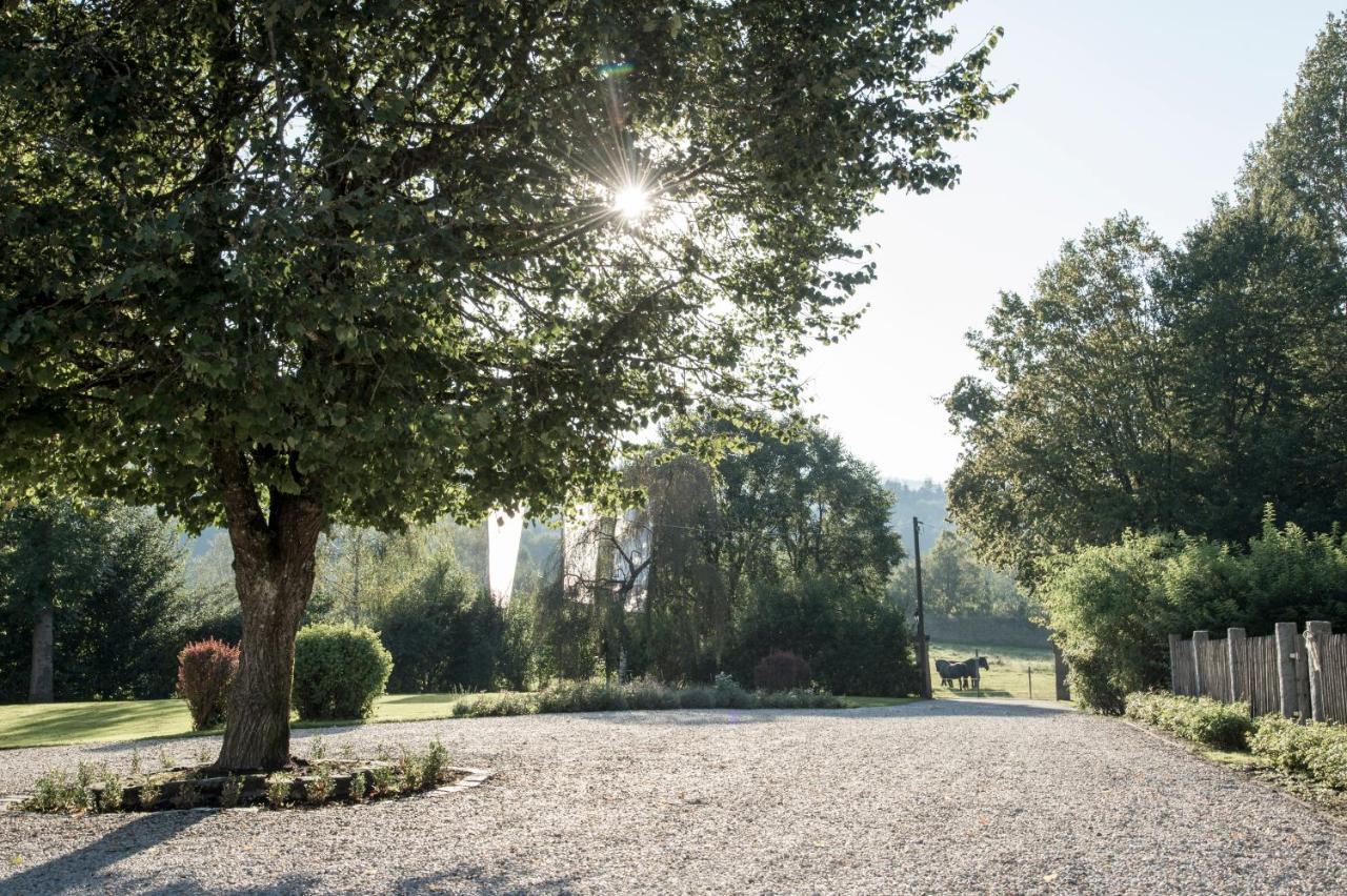 Forstgut - Premium Waldchalets Und Lodge Suiten Regen Esterno foto